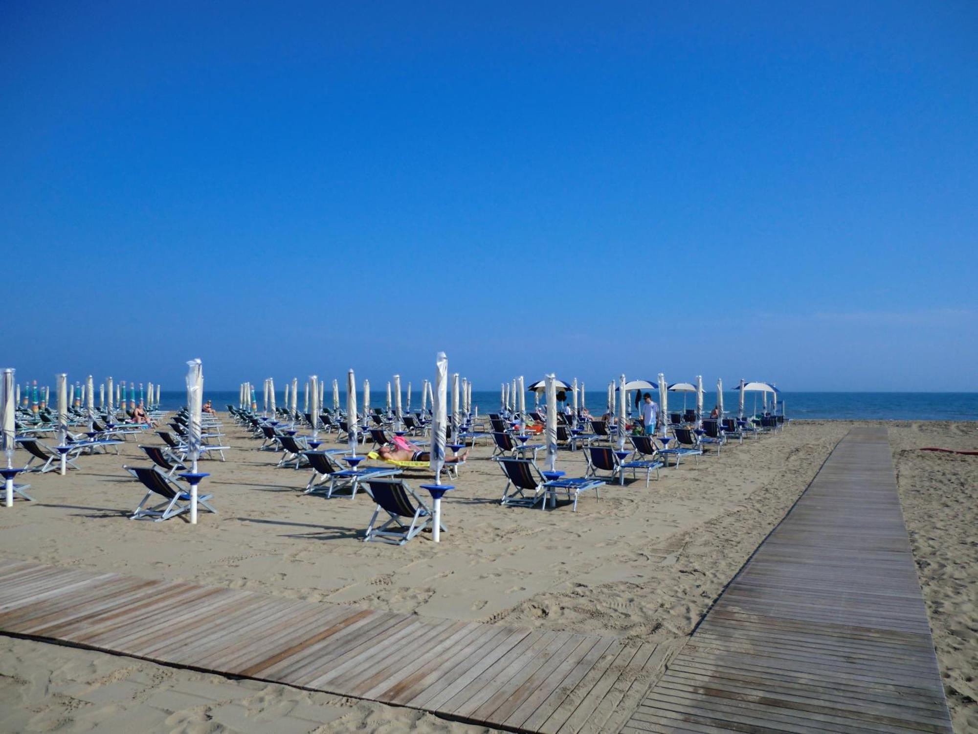 Mayer Bibione